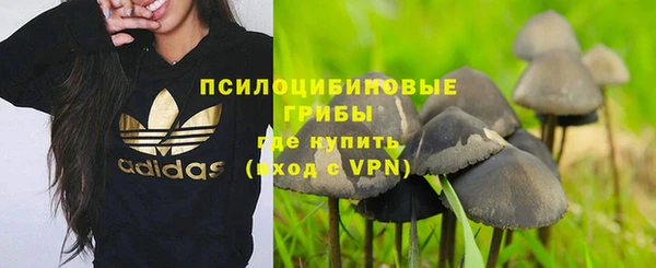 стафф Алексеевка