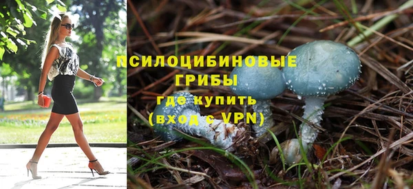 стафф Алексеевка