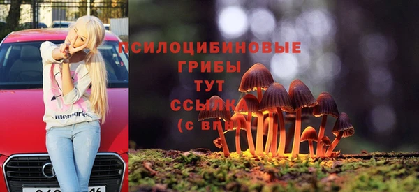 стафф Алексеевка